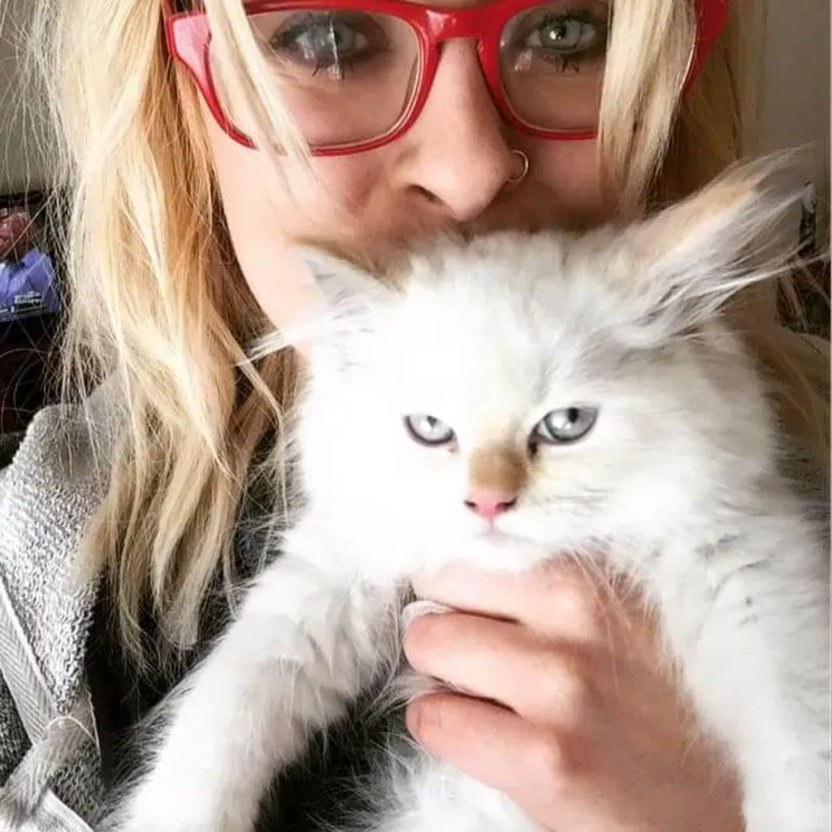 white fluffy kitten being held by a woman and looking grumpy