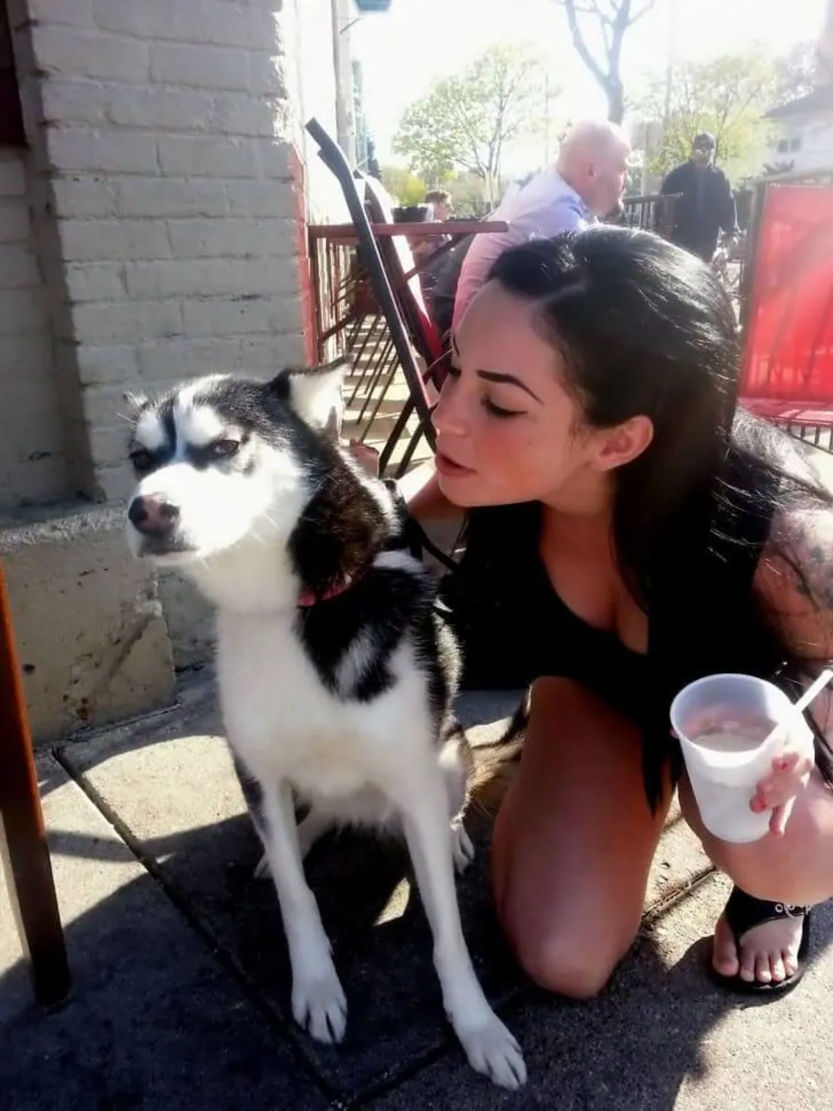 black and white husky looking irritated and moving away from a woman squatting next to her