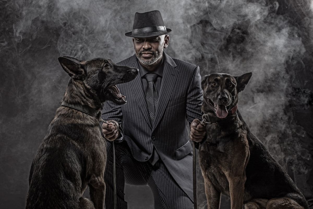 Gangsta looking man in black suit hold on leash two black dogs
