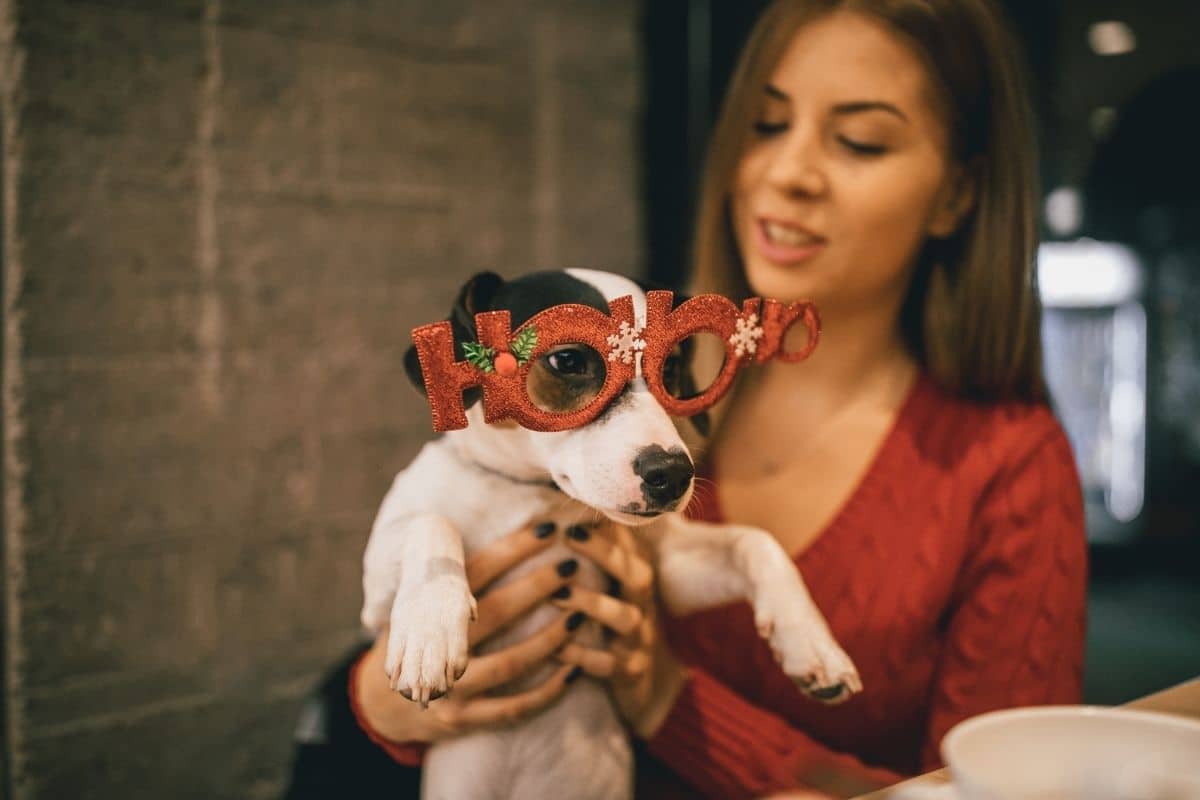 Woman holding small dog with funny party glasses