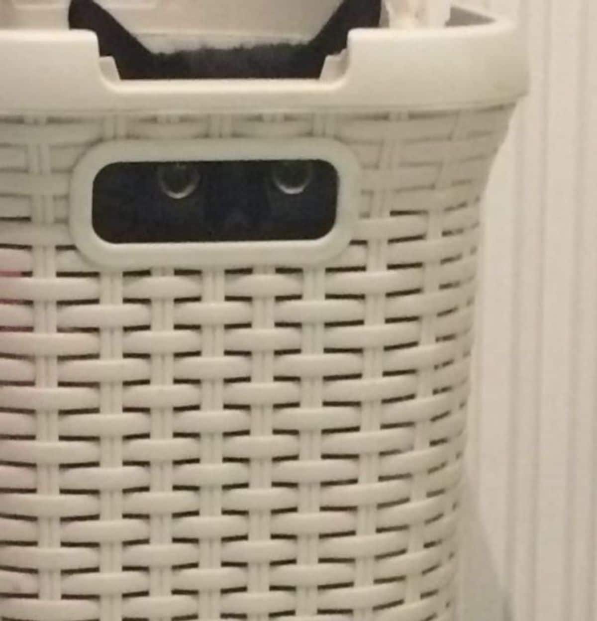 black cat sitting inside a white laundry baskte with only the eyes showing