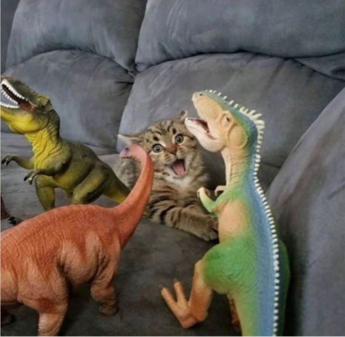 brown tabby kitten on a grey sofa with its mouth open next to large plastic dinosaur toys