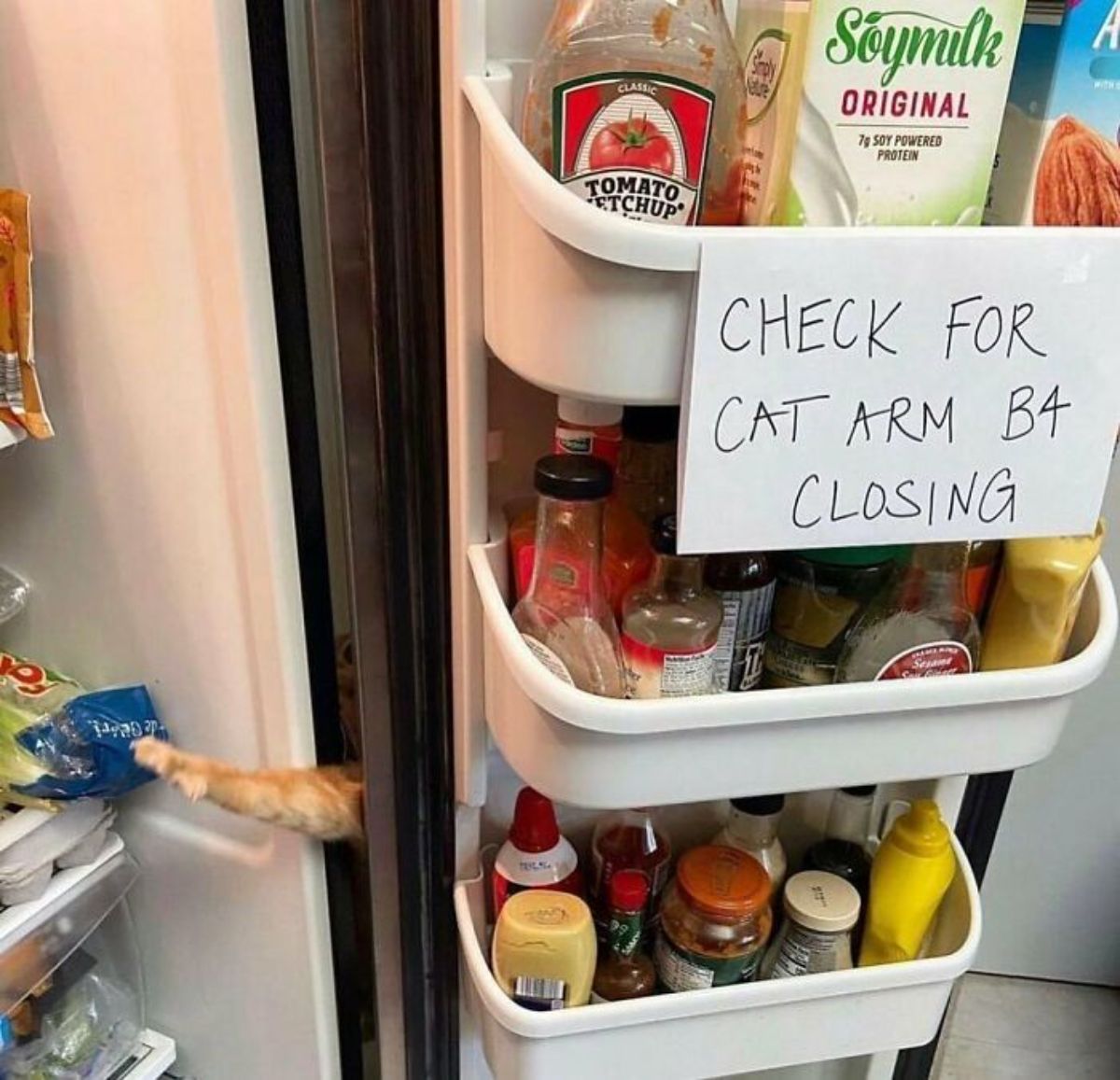 orange cat leg reaching into the fridge from the gap between the fridge door and the fridge with a sign saying check for cat arm b4 closing