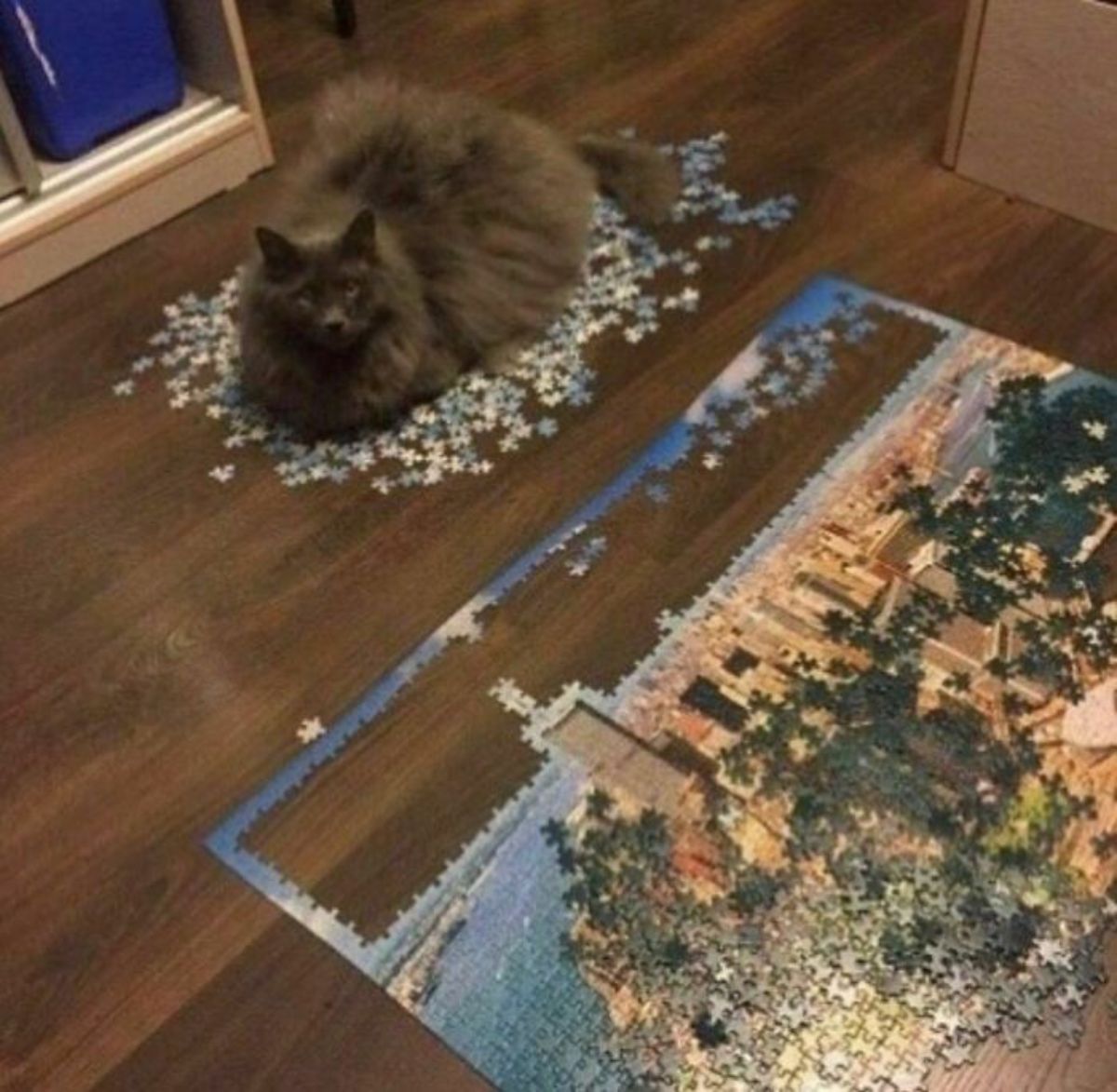 grey fluffy cat sitting on a pile of jigsaw puzzle pieces next to a partially completed jigsaw puzzle