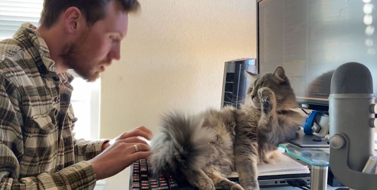 fluffy brown tabby cat sitting on a computer keyboard while a man is trying to type on it