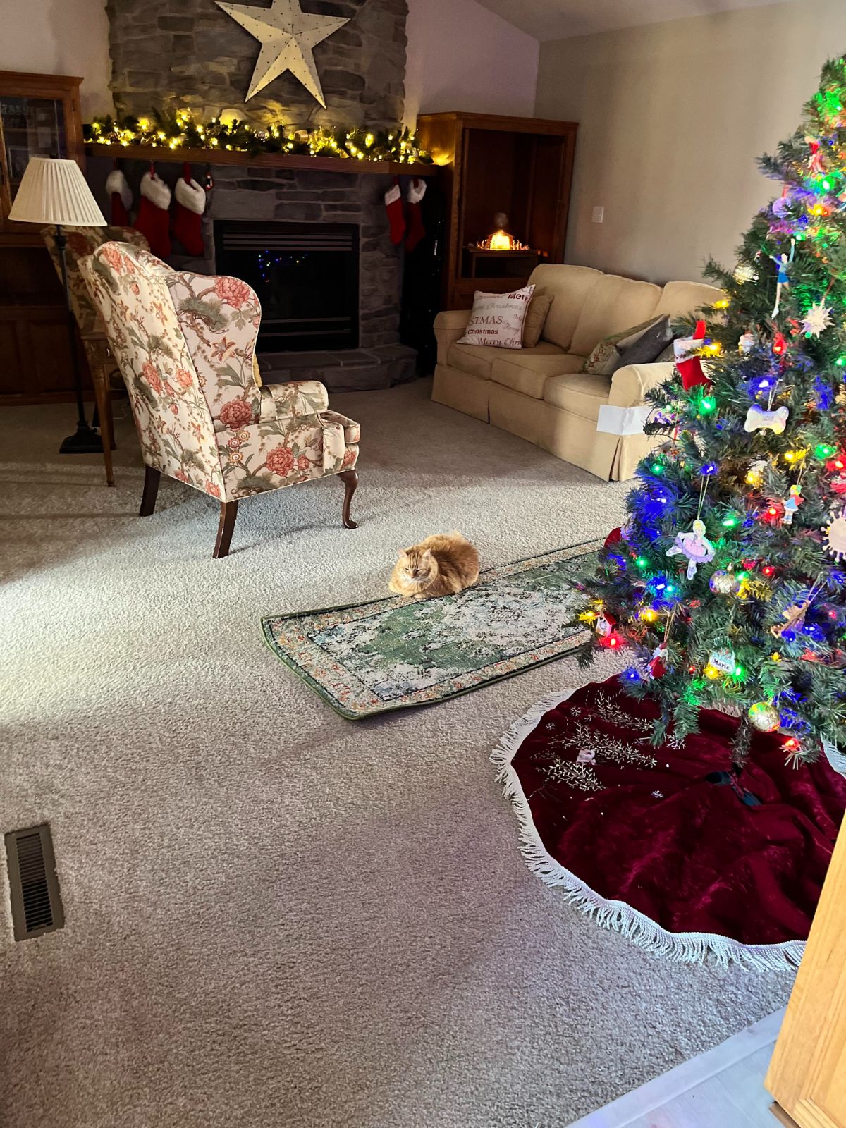 orange fluffy cat laying on carpet in a living room with a colourful chair a brown sofa a fireplace and a decorated christmas tree