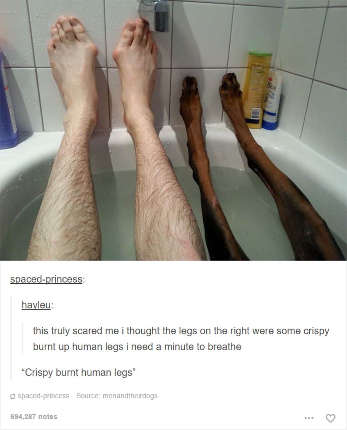 tumblr post of a man's legs next to a brown dog's legs in a bathtub and caption says it was scary and seemed like there are burnt up human legs