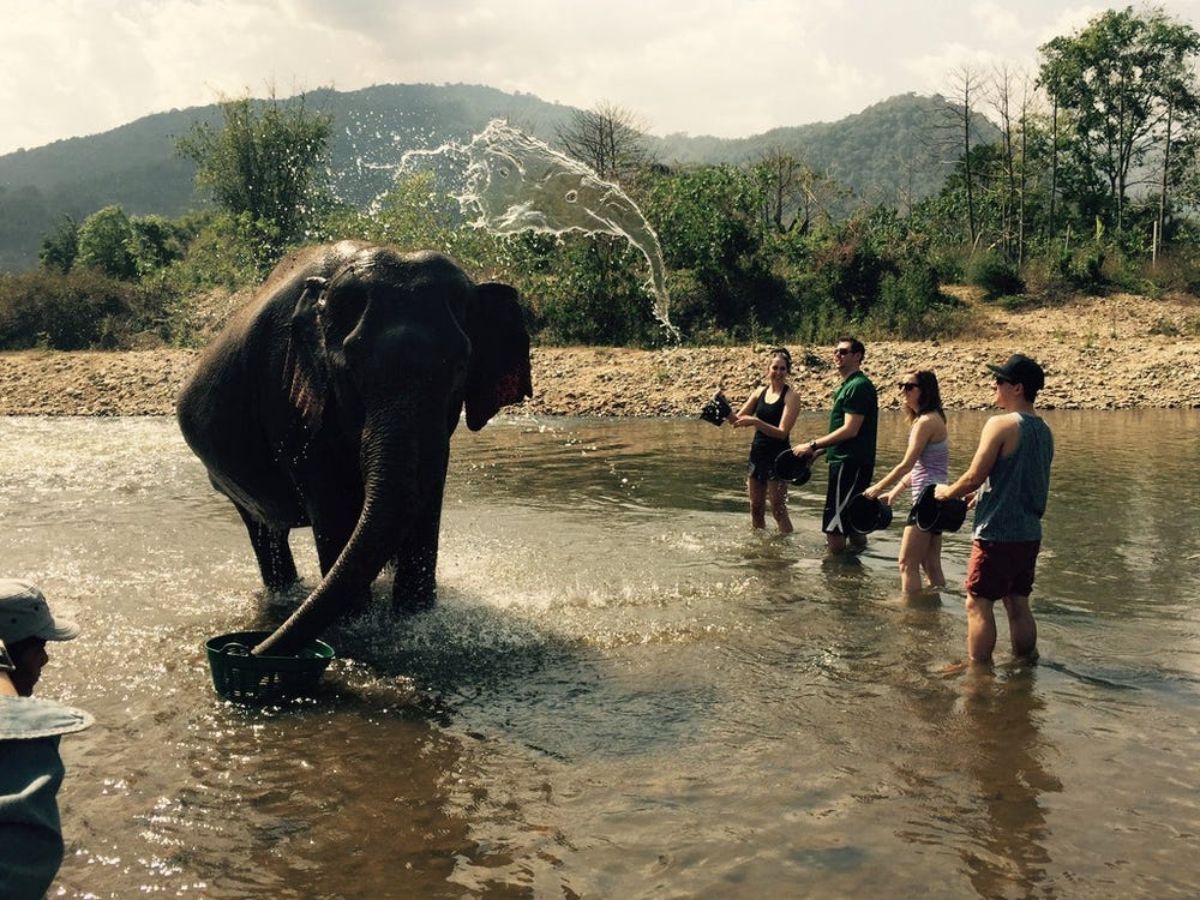 asian elephant in water spraying water at 4 people standing next to it
