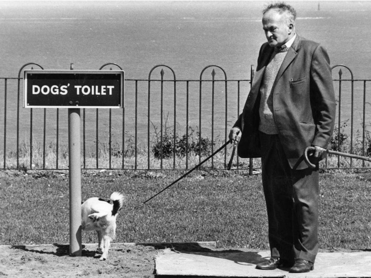 black and white dog peeing under a sign that says dogs' toilet while a man holds the leash
