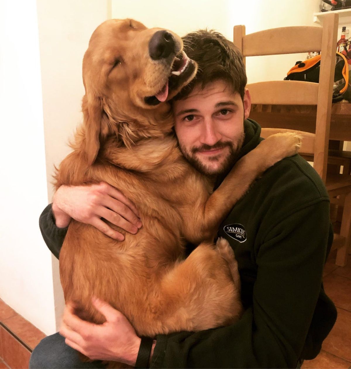golden retriever sitting on a man's lap cuddling him with the tongue sticking out slightly from the side
