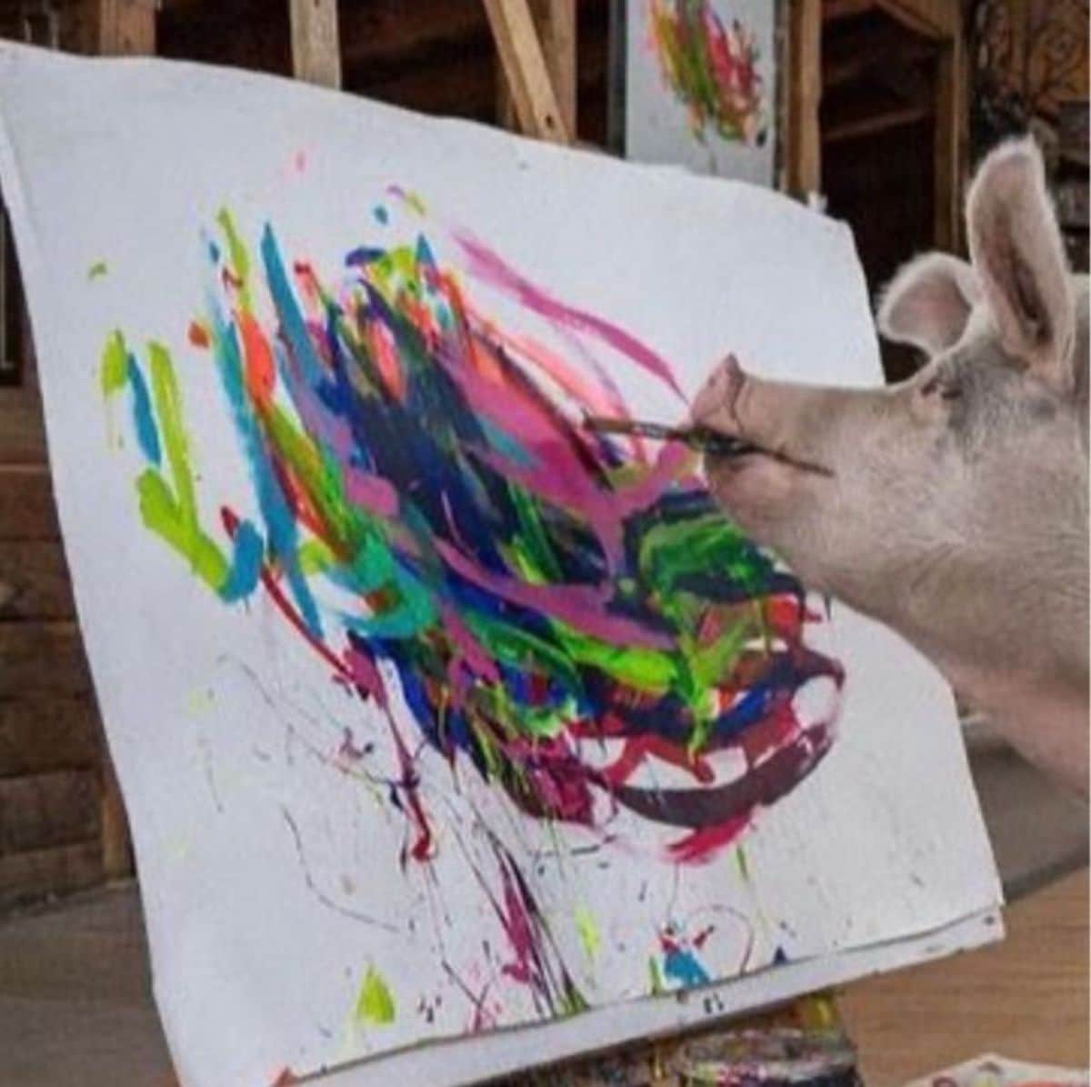 white pig holding a paintbrush in its mouth and painting on a white canvas with colourful paint on it