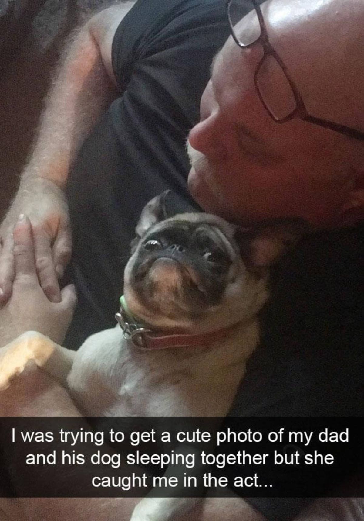 brown pug staring at a camera cuddling with a sleeping man with a caption saying i was trying to get a cute photo of my dad and his dog sleeping together but she caught me in the act...