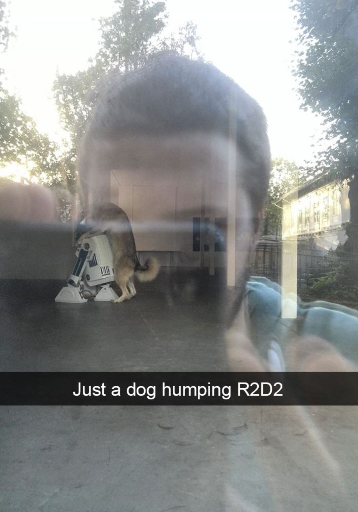 black and brown dog holding a white robot with a caption saying just a dog humping r2d2