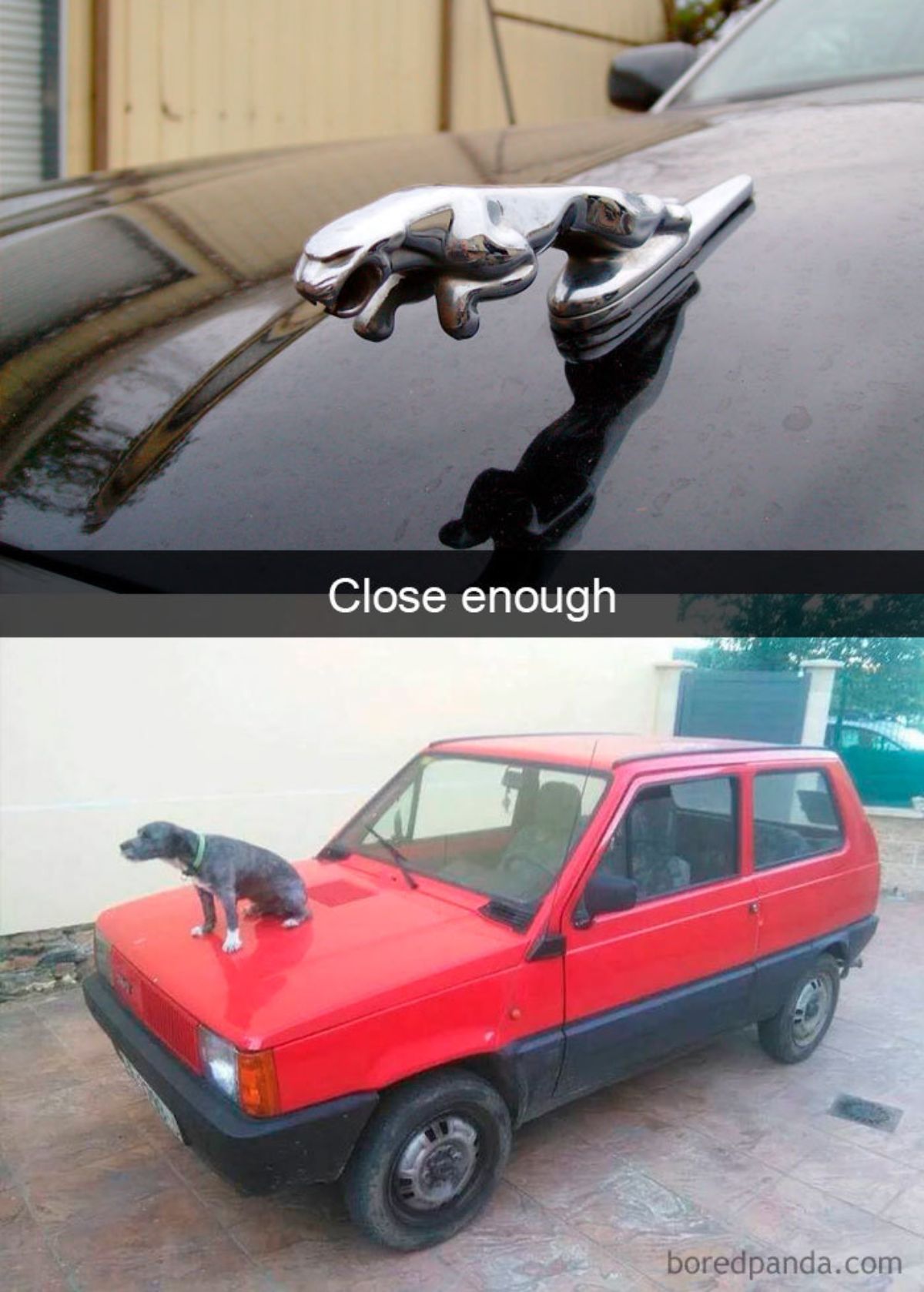 2 photos with the first of a black jaguar car and the second with a black and white dog on a small red and black car with a caption saying close enough