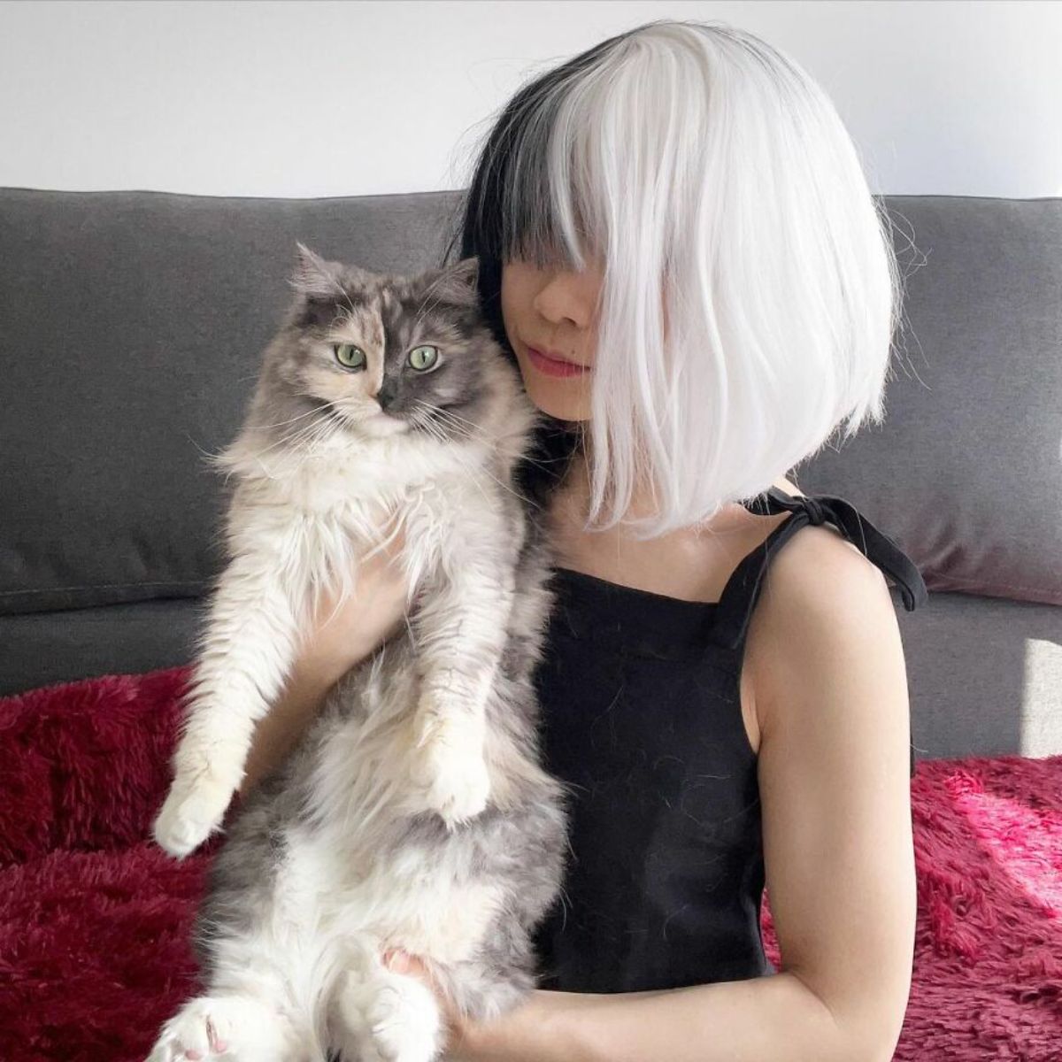fluffy cat with right side of face being grey and left side being black being held by a woman wearing a cruella de vil wig