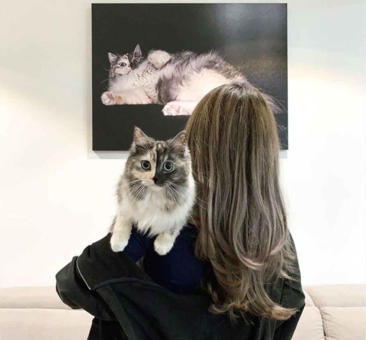 fluffy cat with right side of face being grey and left side being black being carried by a woman standing in front of a painting of the cat