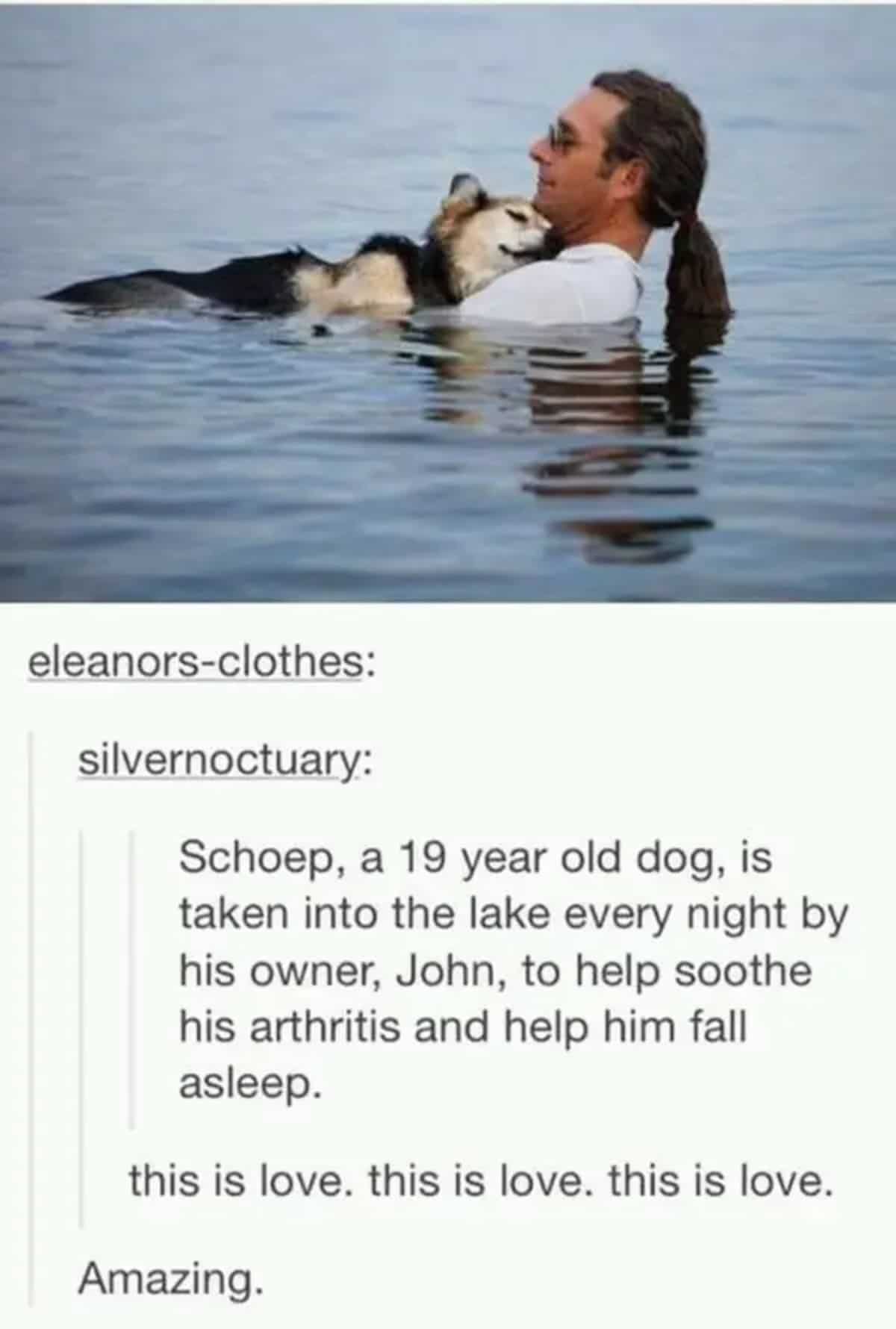 man floating in lake holding black and brown dog with caption saying the 19 year old dog is taken to lake to soothe arthritis