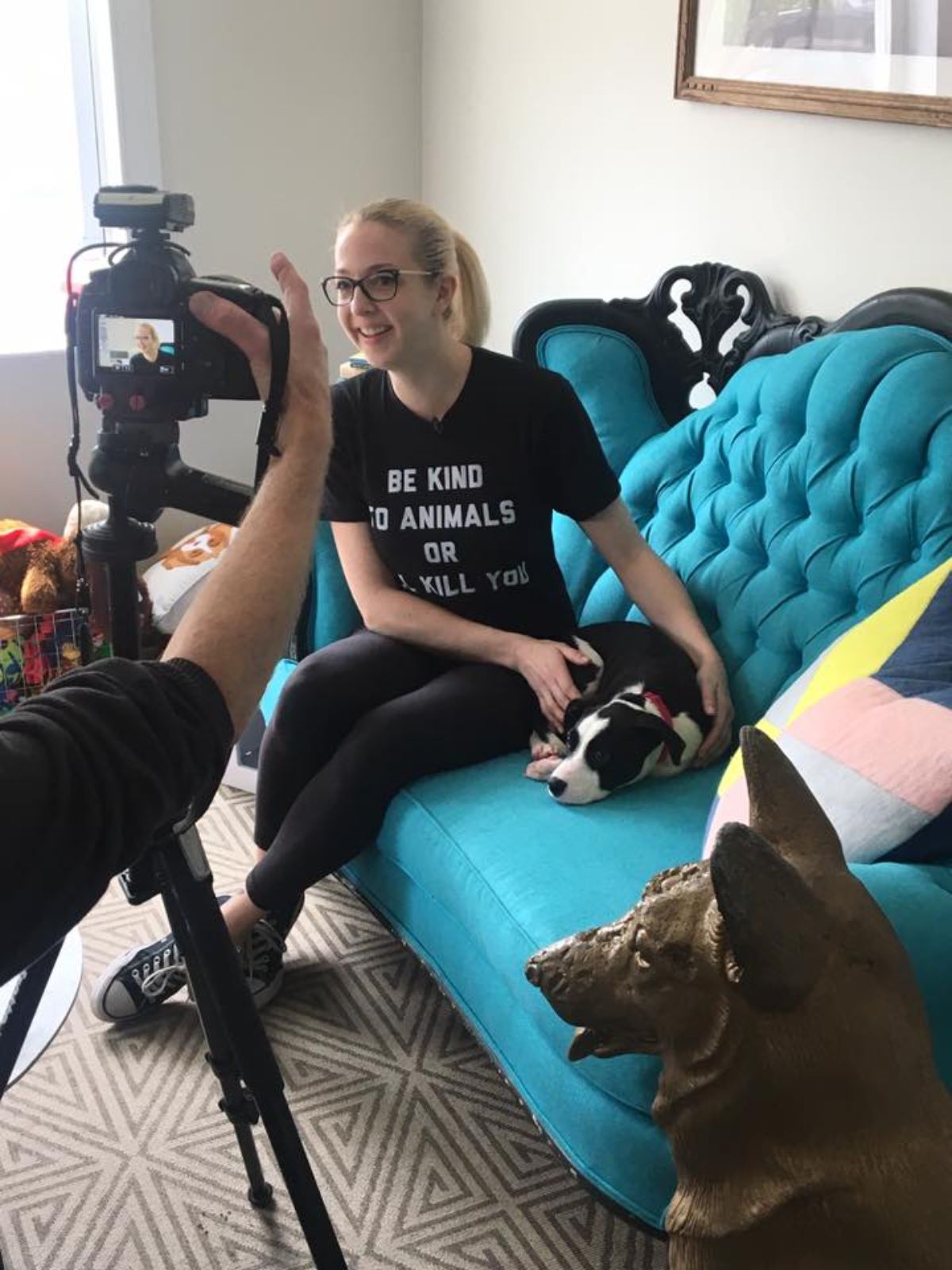 woman sitting on blue and black sofa with a black and white dog with someone videoing them