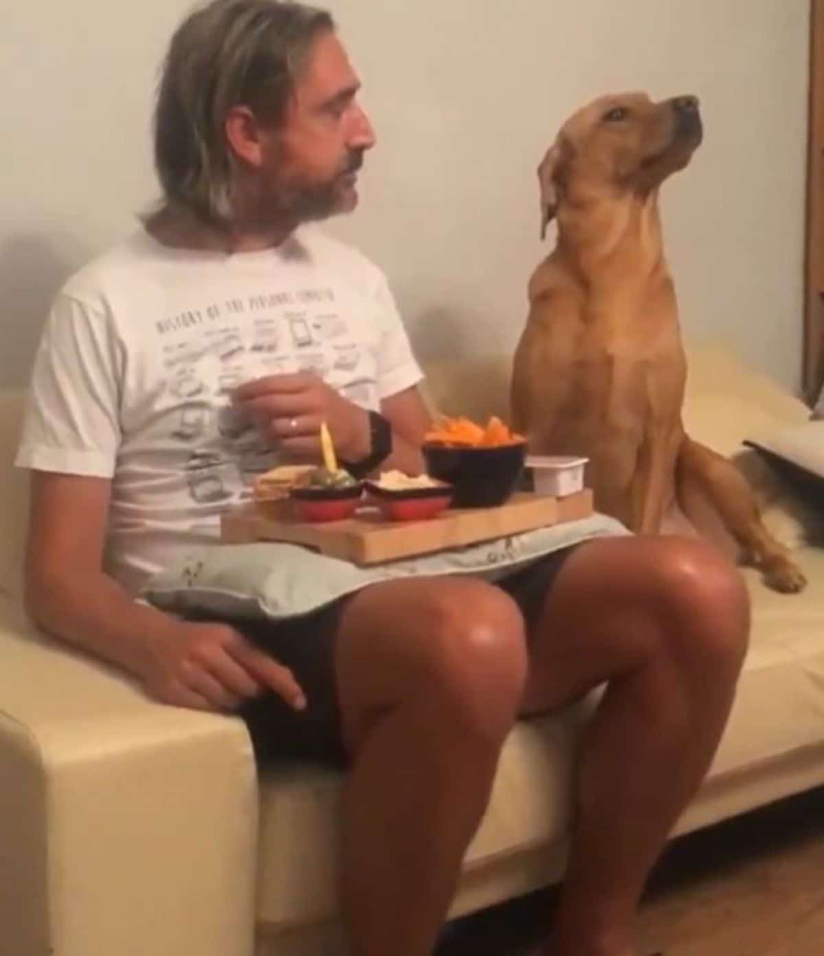brown dog sitting next to a man with food on his lap and the dog is looking away